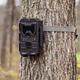 Bushnell Trophy Camera, $215